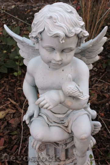 Devostock Angel Angel Wings Statue
