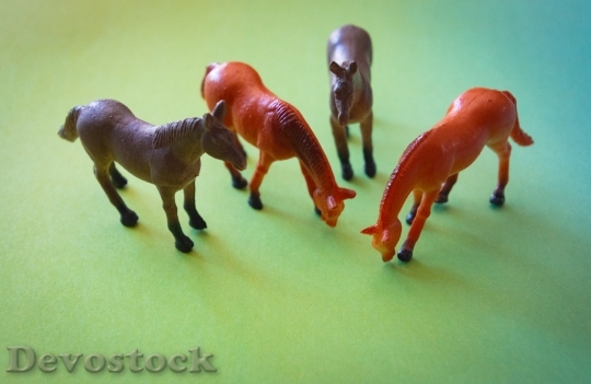 Devostock Animals Horses Toys 13484