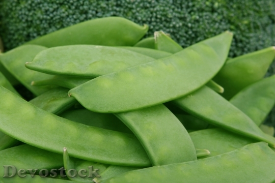 Devostock Appetite Beans Broccoli 1239175