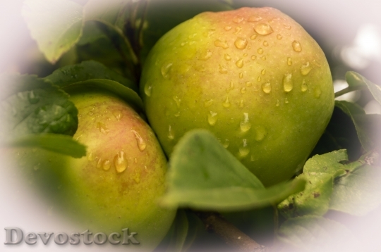 Devostock Apple Drop Water Frisch
