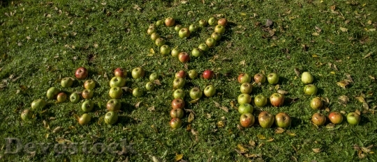 Devostock Apple Heart Fruit Health 0 4K