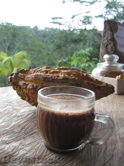 Devostock Bali Coffee Cacao 325452