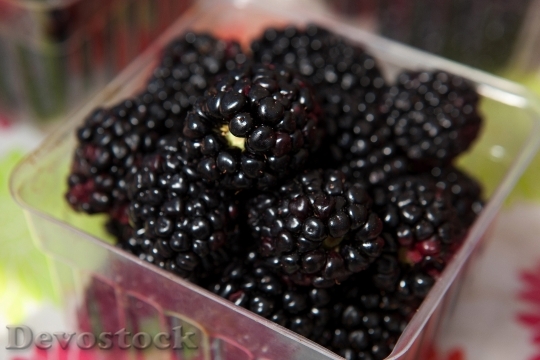Devostock Berries Blackberries Healthy Sweet