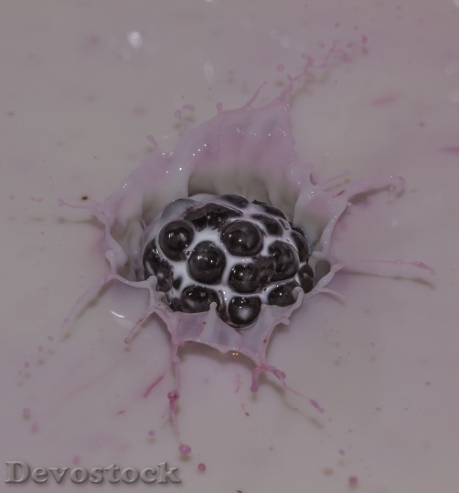 Devostock Blackberry Splash Milk Fruit