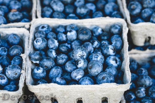 Devostock Blue Blueberry Delicious Fruit