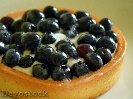 Devostock Blueberry Torte Dessert Pastry