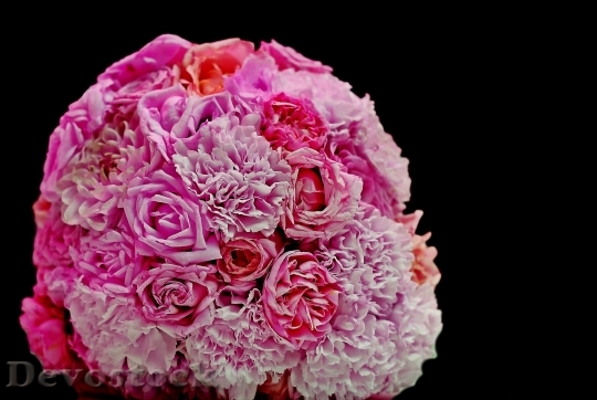 Devostock Bouquet Roses Cloves Wedding 11903 4K.jpeg