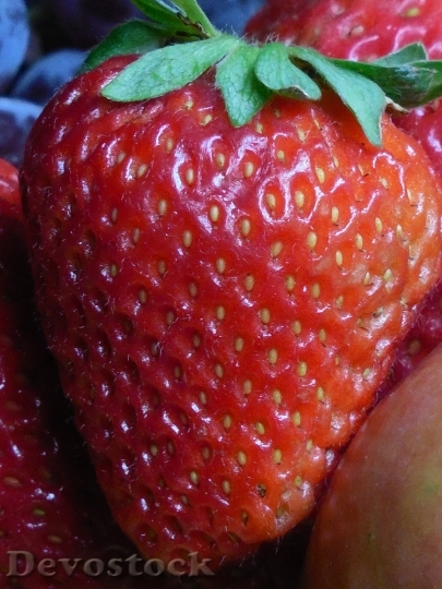 Devostock Bowl Fruit Food Healthy 3