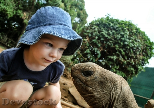Devostock Boy Turtle Watching Giant