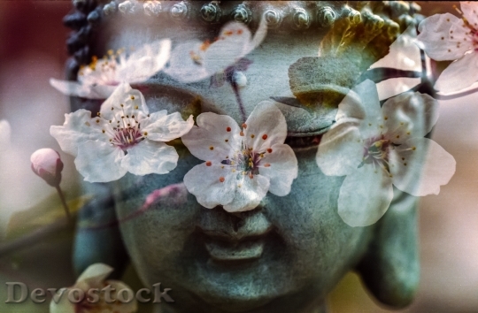Devostock Buddha Flower Buddhism Religion 3