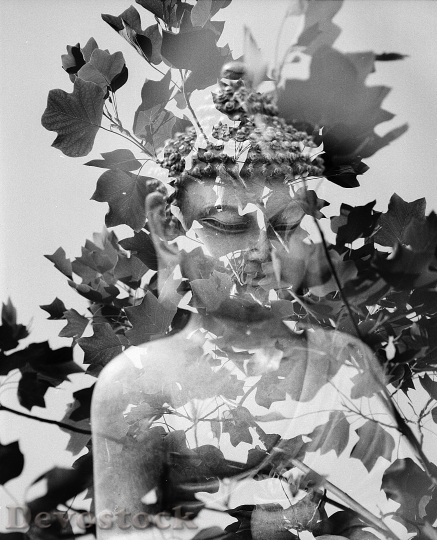 Devostock Buddha Leaf Meditation Spiritual 0