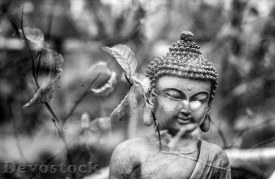 Devostock Buddha Leaf Meditation Spiritual