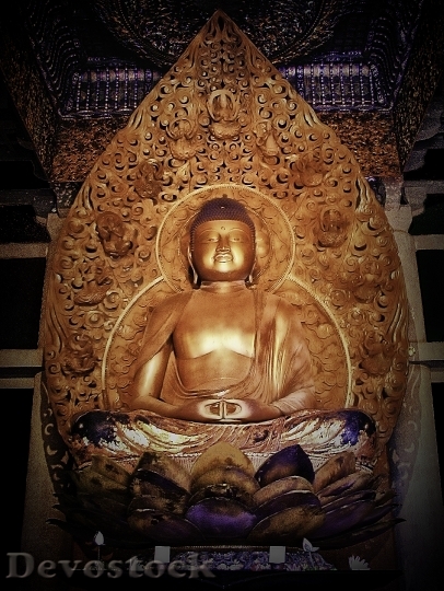 Devostock Buddha Lotus Hawaii Meditation