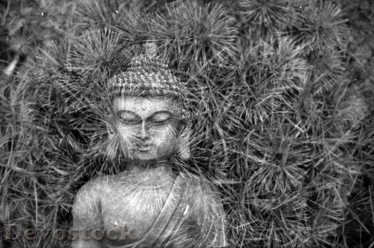 Devostock Buddha Meditation Statue Religion 3
