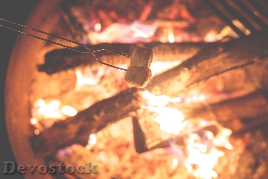 Devostock Campfire Marshmallows Fire Camp