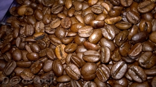 Devostock Coffee Bean Coffee Beans B 2