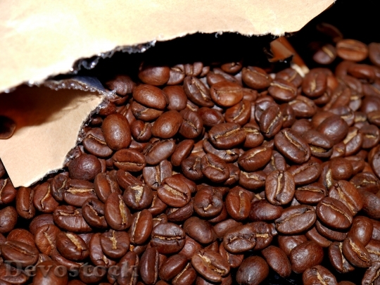Devostock Coffee Bean Packaging Cafe