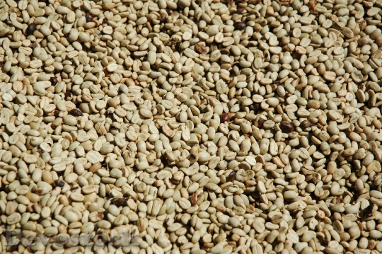 Devostock Coffee Beans 2 2