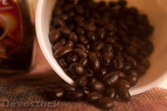 Devostock Coffee Beans Bowl Caffeine