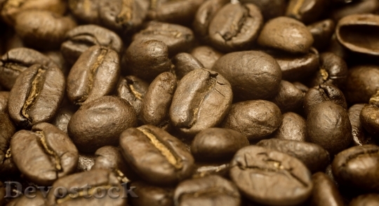 Devostock Coffee Beans Brown Cafe