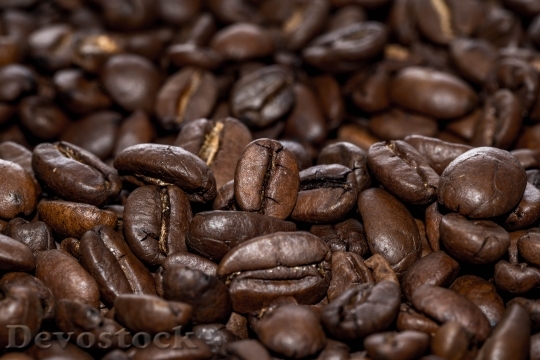 Devostock Coffee Beans Coffee Beans B 24