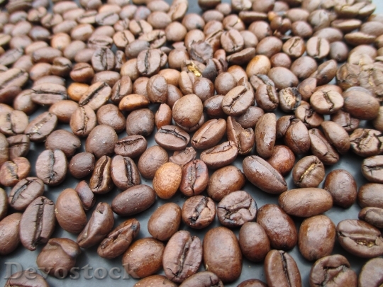 Devostock Coffee Beans Coffee Roasted 0
