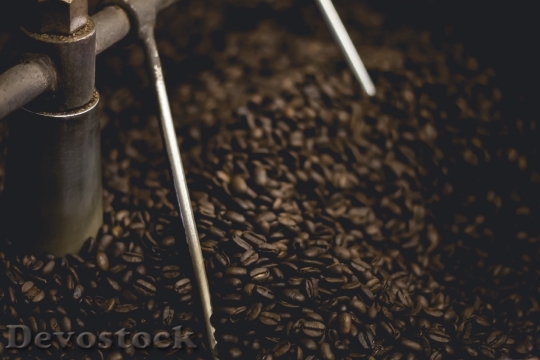 Devostock Coffee Beans Grinding Roasting