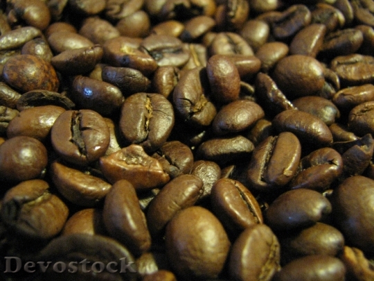 Devostock Coffee Beans Roasted Brown 2