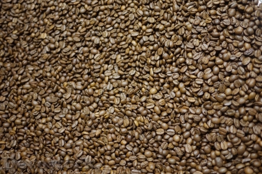 Devostock Coffee Beans Roasted Brown 3