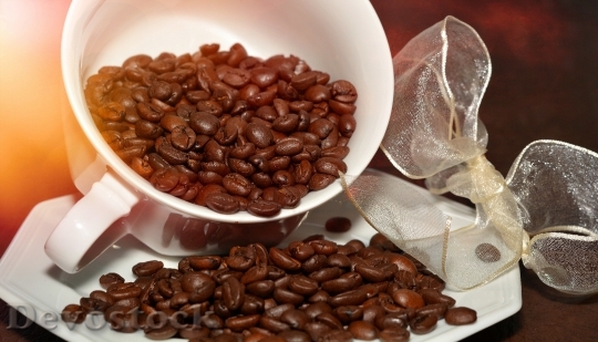 Devostock Coffee Beans Roasted Coffee