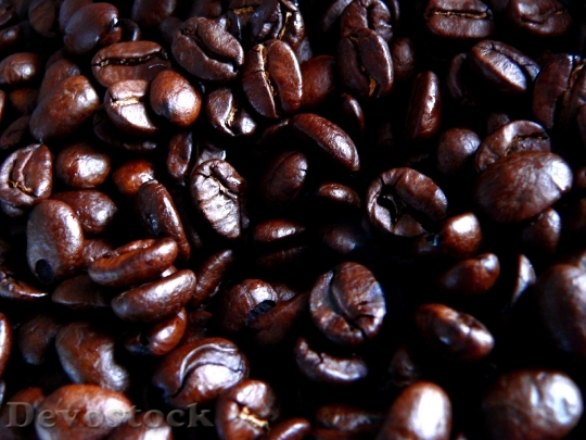 Devostock Coffee Beans Roasted Drink