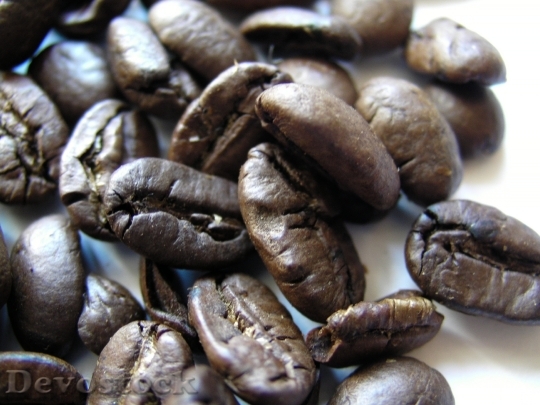 Devostock Coffee Beans Roasted Pacamara