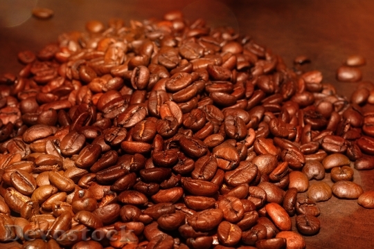 Devostock Coffee Beans Roasted Stimulant