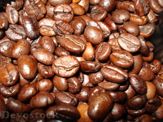 Devostock Coffee Beverages Coffee Beans