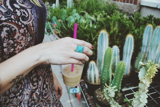 Devostock Coffee Cactus Hand Holding
