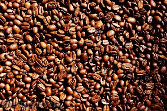 Devostock Coffee Coffee Beans Cafe 21