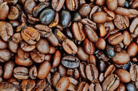 Devostock Coffee Coffee Beans Cafe 8