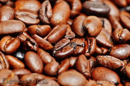 Devostock Coffee Coffee Beans Cafe 9