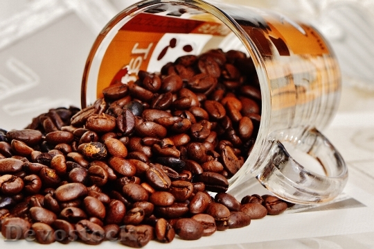 Devostock Coffee Coffee Beans Cup 4
