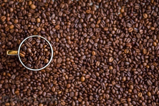Devostock Coffee Coffee Beans Drink