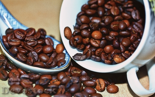 Devostock Coffee Coffee Beans Grain 5