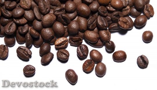 Devostock Coffee Coffee Beans Grain 7