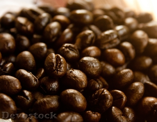 Devostock Coffee Coffee Beans Roasted 16