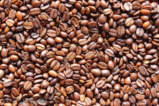 Devostock Coffee Coffee Beans Roasting
