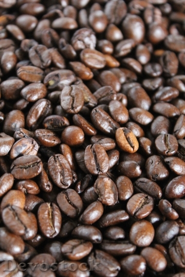 Devostock Coffee Grain Coffee Beans 3