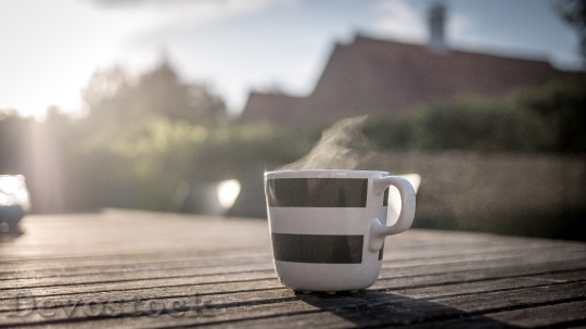 Devostock Coffee Morning Soft Light