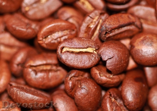 Devostock Coffee Roasted Beans Aroma