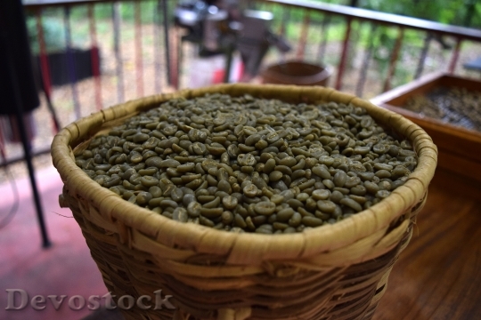 Devostock Coffee Toasted Green Grain 0