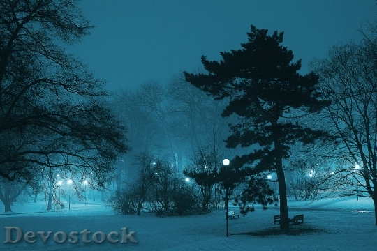 Devostock Cold Snow Light 3535