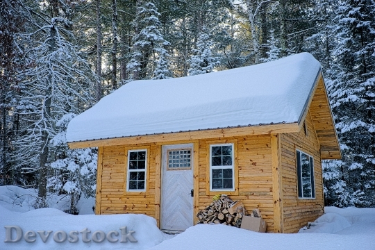 Devostock Cold Snow Wood 7431